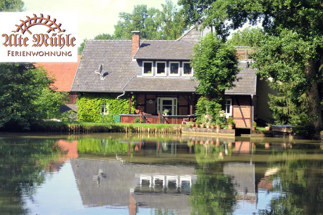 Ferienwohnung „Alte Muehle“ Бад-Родах Экстерьер фото